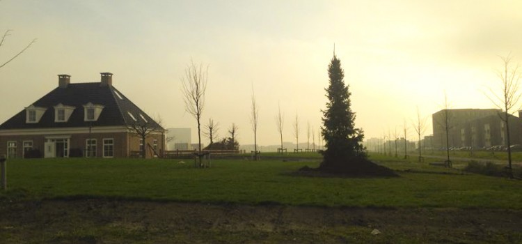 Kerstboom geplaatst