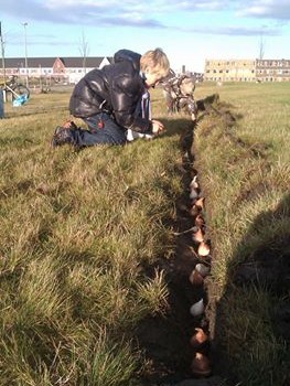 Bloembollen planten