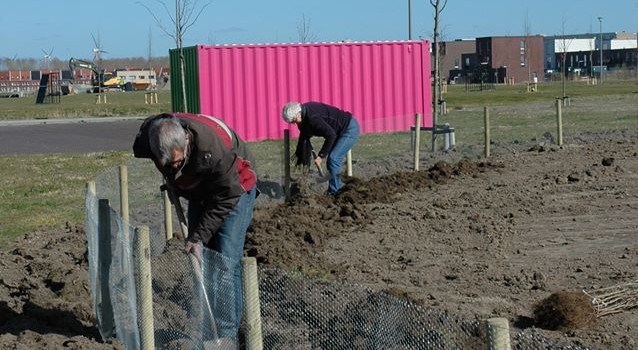 Aanleg moestuin-labyrint