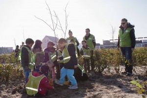Boomplantdag rozentuin Cascadepark 2014